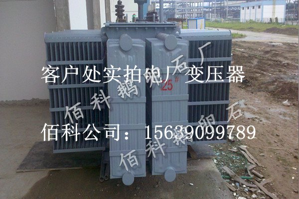 客戶(hù)想要購買(mǎi)齊全的水處理鵝卵石到哪里去？