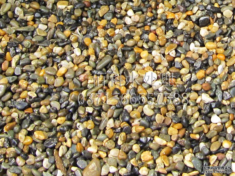 哪里有賣(mài)天然鵝卵石的？