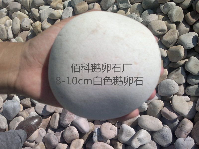 通過(guò)聽(tīng)鵝卵石的故事，使我們學(xué)會(huì )了無(wú)論做什么事情都要有主次之分
